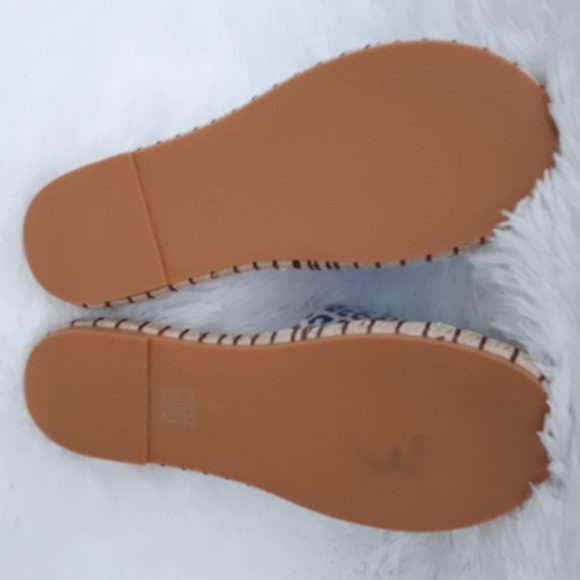 Holographic slides - Picture 5 of 5